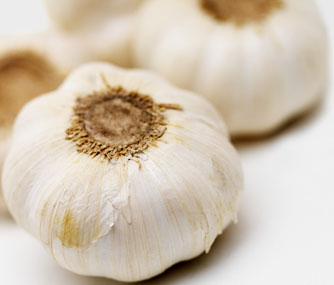 Garlic